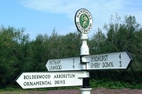 New Forest, Hampshire, United Knigdom