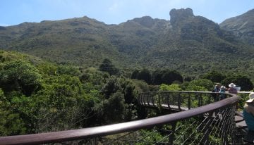 South Africa Driving Tour with Classic Travelling - Kirstenbosch