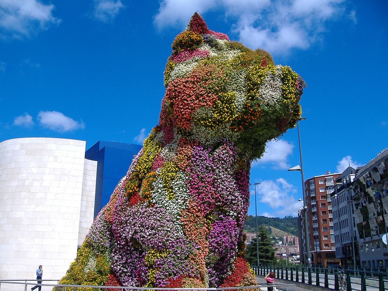 Bilbao Puppy