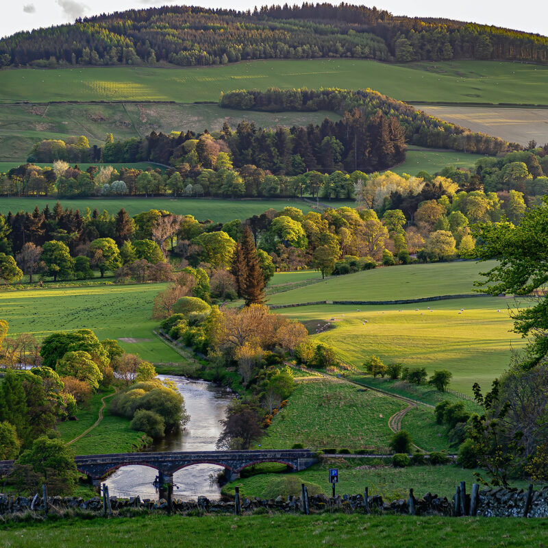 Scottish Borders