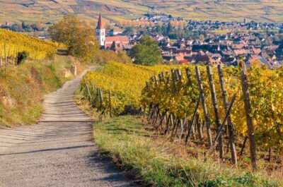 Alsace France vineyard