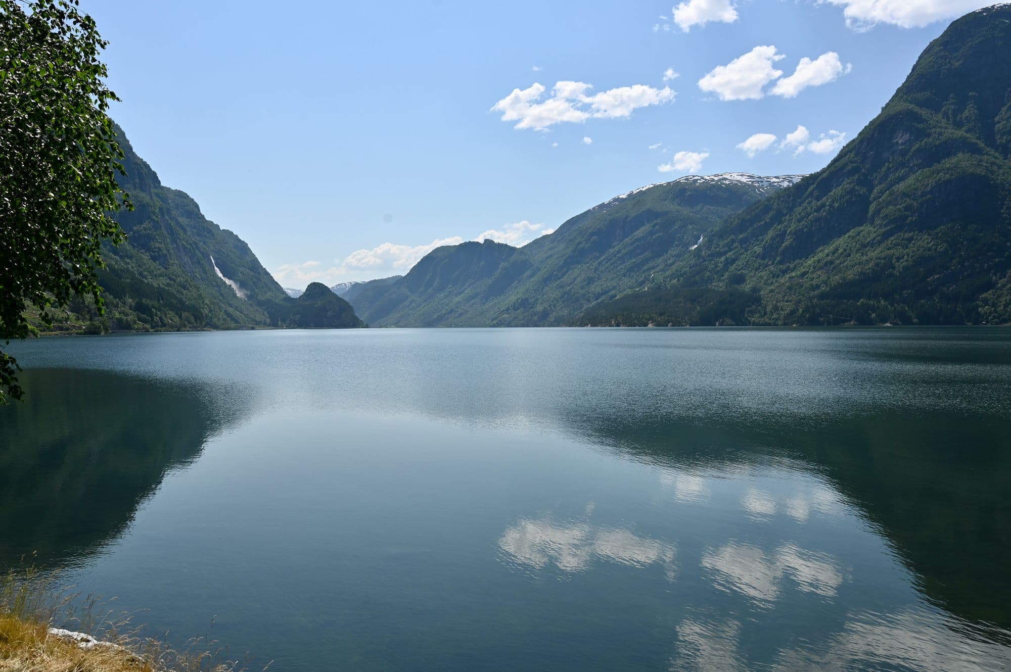 Norweigian Fjords