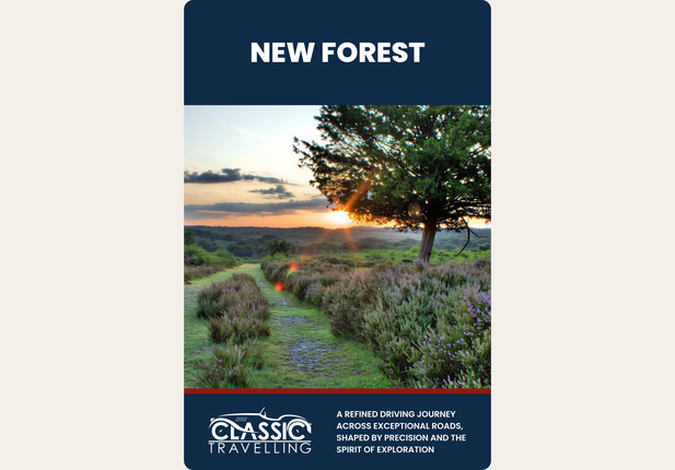 New Forest