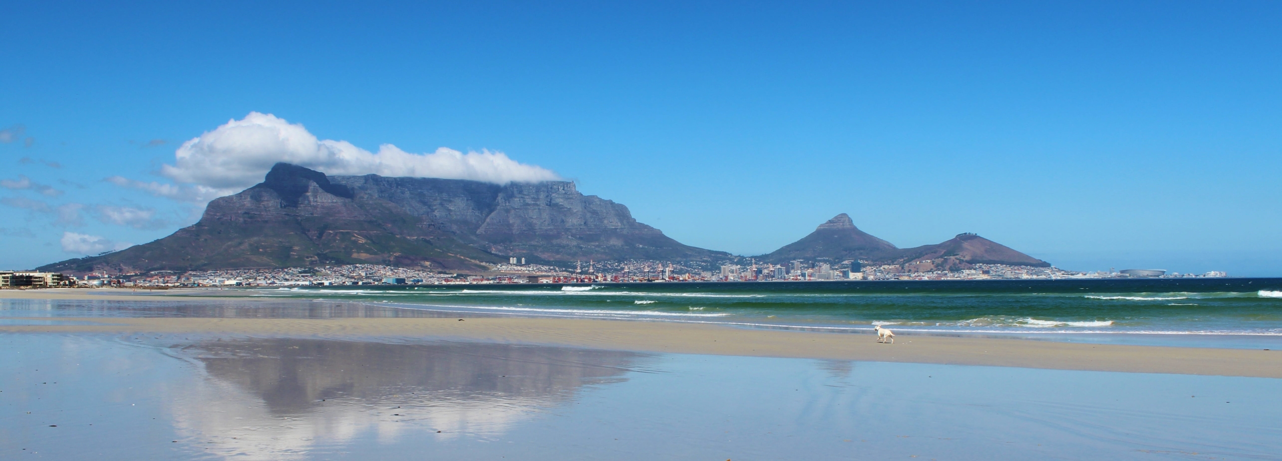 Table-Mountain-cover-1