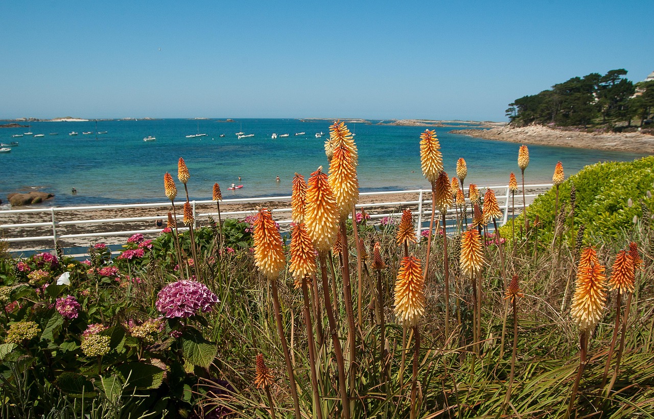Brittany's Wild Atlantic Coast